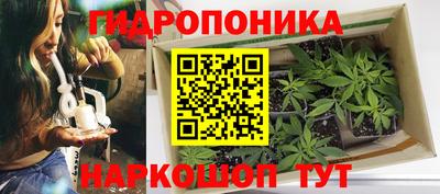 ALPHA PVP Краснодар